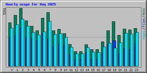 Hourly usage for May 2025