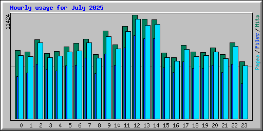 Hourly usage for July 2025