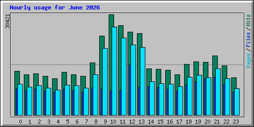 Hourly usage for June 2026