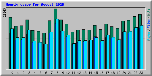 Hourly usage for August 2026
