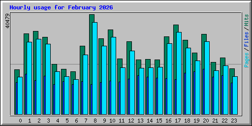 Hourly usage for February 2026